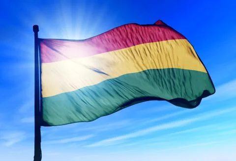 Bolivia flag waving on the wind 스톡 일러스트
