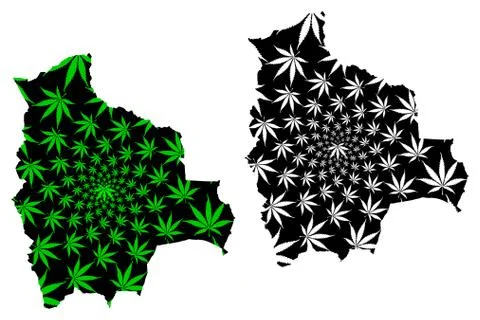 Bolivia - map is designed cannabis leaf Stock Illustration