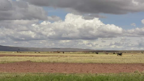 Bolivian altiplane with clouds Stock Footage 272282739