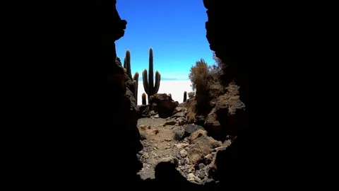 Bolivian female traditionally dressed Salt flat lake a desert cactus Plateau Stock Footage