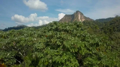Bolivian Jungle near Rurrenabaque, mountain aerial - South America Stock Footage