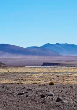 Bolivian Landscape Stock Photos
