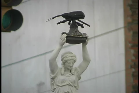 Boll Weevil   Enterprise  AL Vídeos de archivo 96156