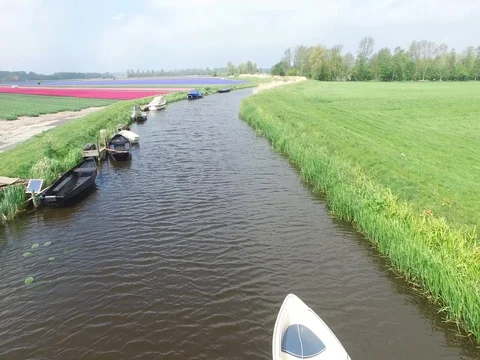 Bollen101 Video stock 75640321