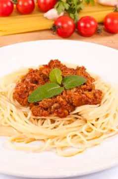 Bolognese Stock Photos
