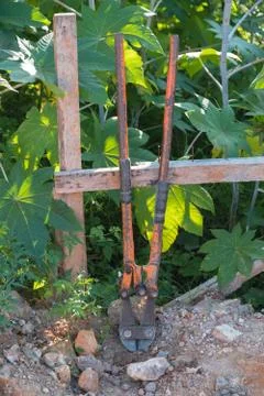 Bolt cutter Stock Photos