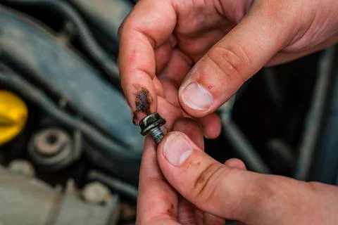 Bolt in the hand of the technician. Stock Photos
