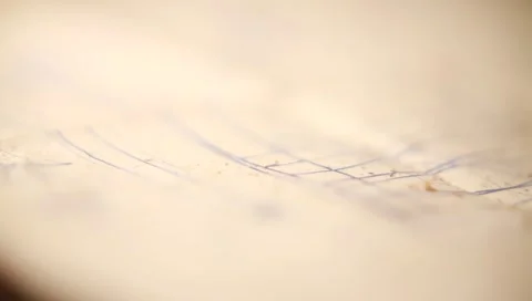 Bolts 1 Video stock 995960