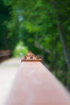 Bolts in Rainfall Foto stock