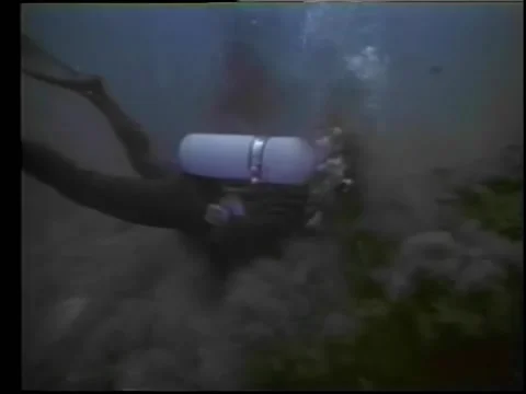 Bomb exploding underwater near scuba diver Video stock 260254752