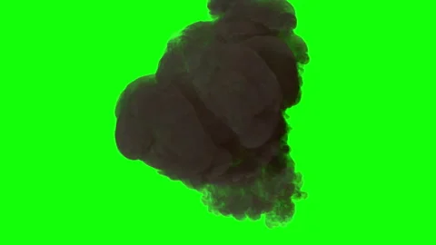 Bomb Explosion on Green screen with black and white alpha channel. Stock Footage 220484955