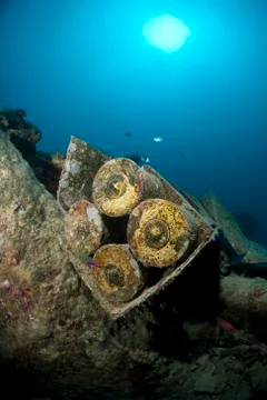 Bomb shells, still packed in their crate, on the shipwreck of the ss thistleg Stock Photos
