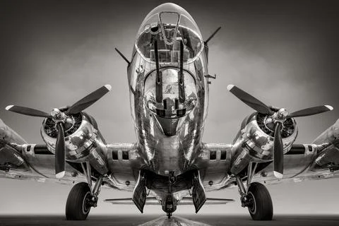 Bomber 스톡 사진