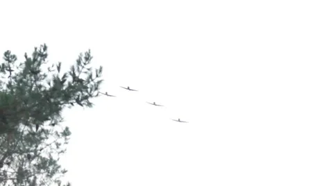 Bomber Planes flying in formation  Video stock 7749040