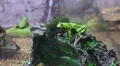 Bombinatoridae Fire-Bellied Toads Sits On Rock 4k or 4k+ Resolution