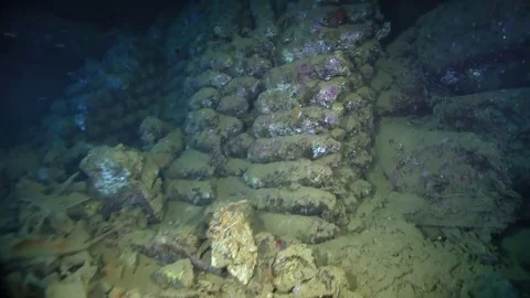 Bombs on Umbria wreck in Sudan Red sea Video stock 80273580
