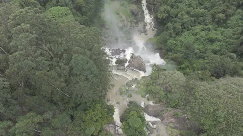 Bomburu Ella, Hidden Gem Amid Lush Green Forests Sri Lanka, D-Log M Flat Color Stock Footage 319489041