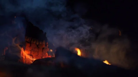 Bon Fire, logs burning, fire at night Video stock 88791358