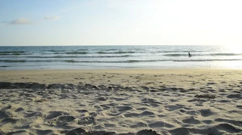 Bon run on the beach Stock Footage 56958504