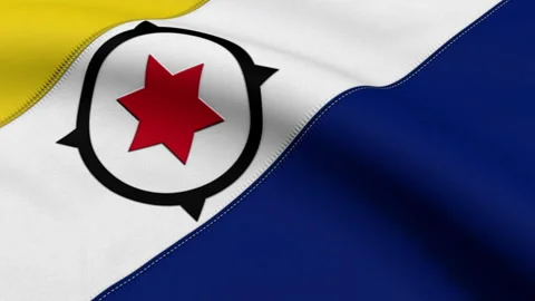 Bonaire Flag Loop Stock Footage 241176165