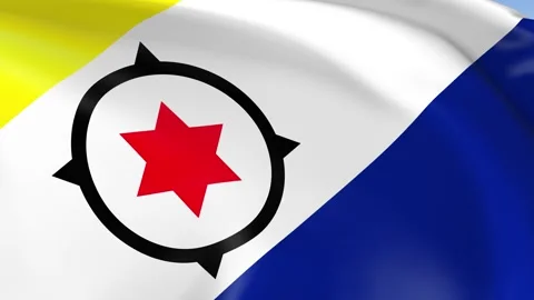 Bonaire Waving Flag Background Loop Stock Footage 317848776