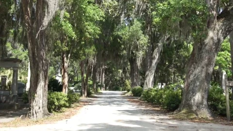 Bonaventure Cemetery Stockbeeldmateriaal 83947569