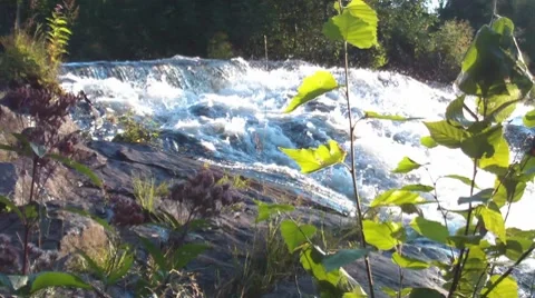 Bond Falls 07 Stock Footage 8660742