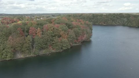 Bond Lake over the Trees Stock Footage 145926310