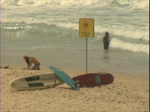 Bondi 5 Stock Footage 1200025