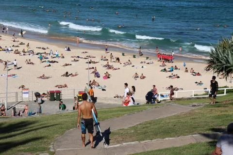 Bondi Beach in the Summer Stock-Fotos