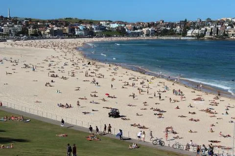 Bondi Beach in the Summer Stock-Fotos