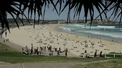 Bondi Beach Sydney Vidéo 69771698