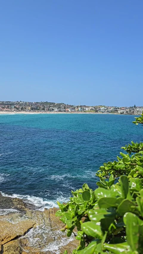 Bondi Beach, Sydney - Surf, Sun, and Coastal Views [8K] Stock Footage 299031806