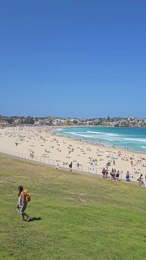 Bondi Beach, Sydney - Surf, Sun, and Coastal Views [8K] Видео 299052596