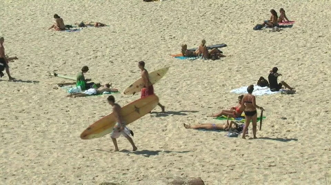 BONDI BEACH VIDEO 13 Stock Footage 663565