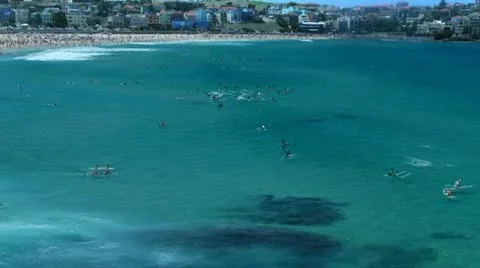 Bondi surfers time lapse Stock Footage 18159733