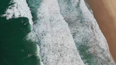 Bondi Waves Morning Stock Footage 105772480