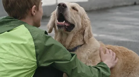 Bonding with Dog Stock Footage