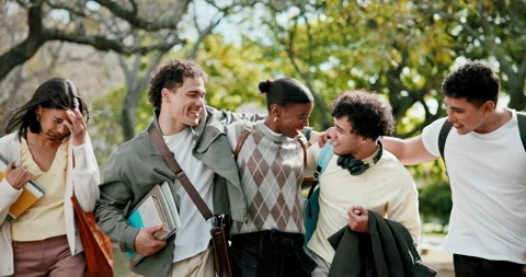 Bonding, friends or college student in park with walk, group hug or connection Stock Footage 346120770