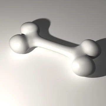 Bone 3D Model