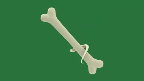 Bone and white on dog figure Video stock 335980181