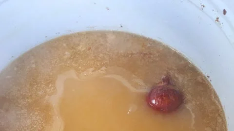 Bone broth simmered slowly to a rich homemade stock in a white enamel pot Stock Footage 344032016