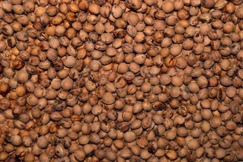 Bone with cherries Foto stock