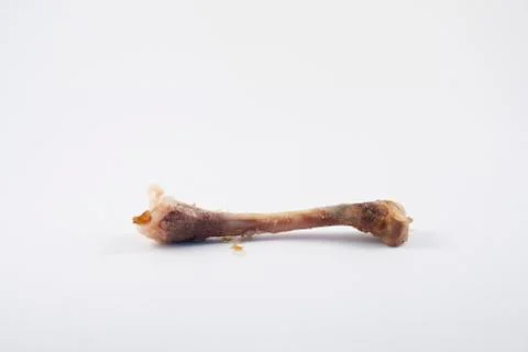 Bone chicken wing Stock Photos