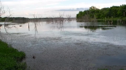 Bone Creek Marsh 60 sec.mp4 Stock Footage 40466468
