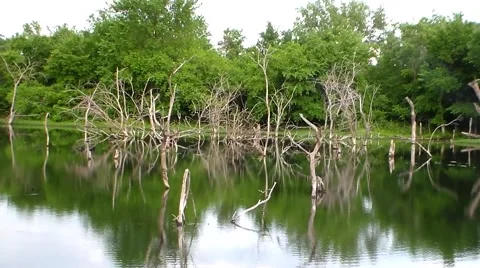 Bone Creek Marsh2 30 sec.mp4 Stock Footage 40466274