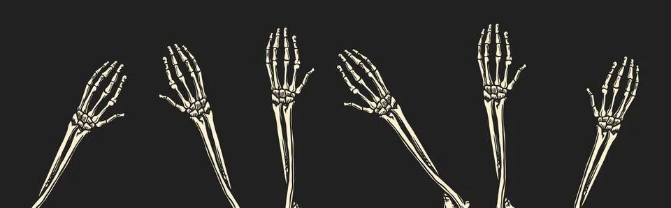 Bone hands on black background. Human arms. Skeletons climb up from the graves Stock Illustration