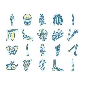 Bone Human Skeleton Structure Icons hand drawn Illustrazione stock