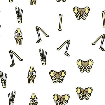 Bone Human Skeleton Structure Vector Seamless Pattern Stockillustratie