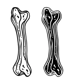 Bone icon art Ilustración de archivo